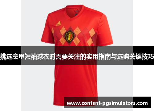 挑选意甲短袖球衣时需要关注的实用指南与选购关键技巧