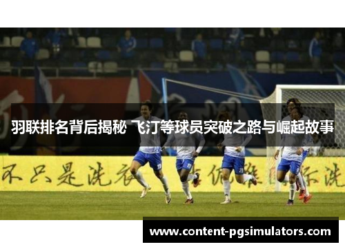 羽联排名背后揭秘 飞汀等球员突破之路与崛起故事