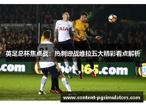 英足总杯焦点战：热刺迎战维拉五大精彩看点解析