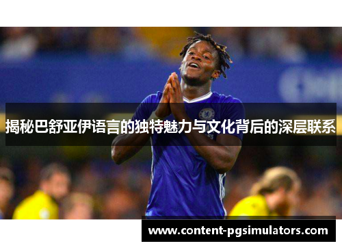 揭秘巴舒亚伊语言的独特魅力与文化背后的深层联系