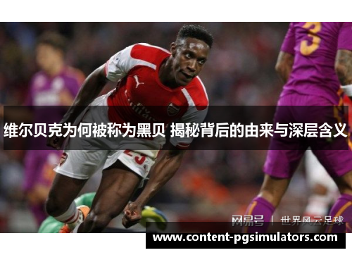 维尔贝克为何被称为黑贝 揭秘背后的由来与深层含义 维尔贝克为何被称为黑贝 揭秘背后的由来与深层含义