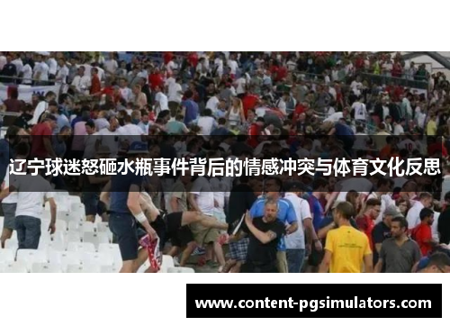 辽宁球迷怒砸水瓶事件背后的情感冲突与体育文化反思 辽宁球迷怒砸水瓶事件背后的情感冲突与体育文化反思